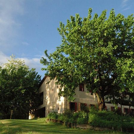 Vila Ca Borgh Santa Maria di Feletto Exteriér fotografie